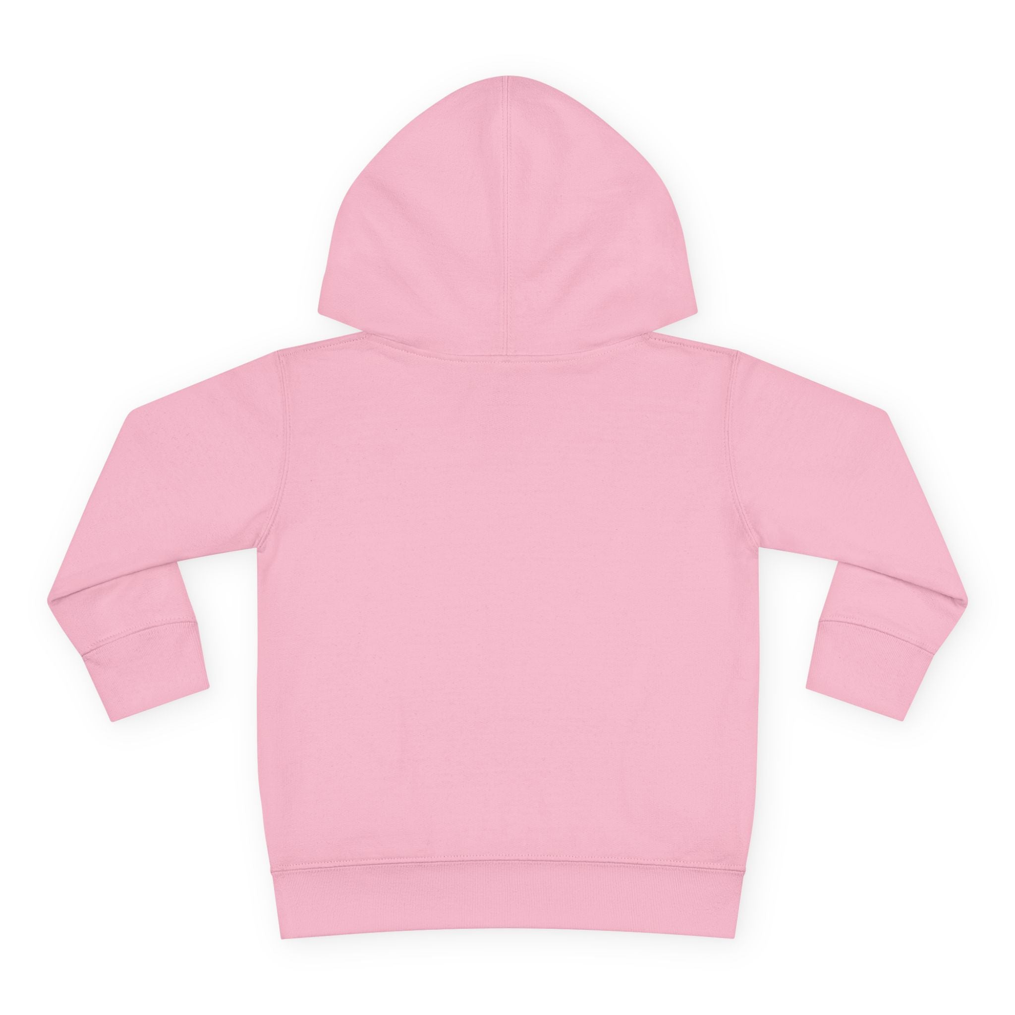 Cute Rainbow Unicorn Toddler Hoodie — "Vore" Graphic Pullover